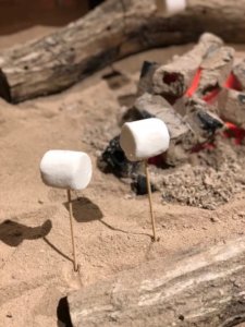 阿讃琴南の焼きマシュマロ