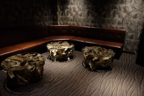 阿讃琴南の娯楽室